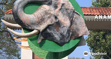 Anamalai Tiger Reserve