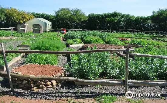 La Ferme Pédagogique