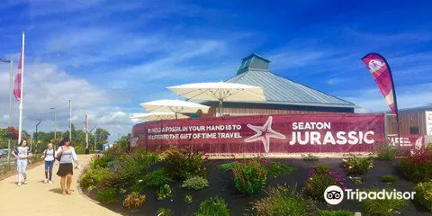Seaton Jurassic