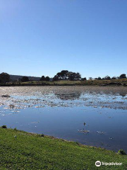 Lake Dulverton