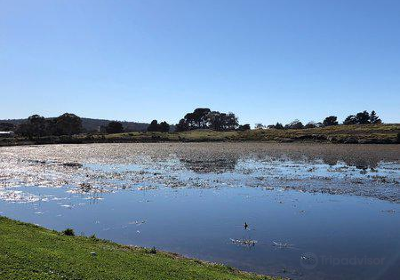 Lake Dulverton