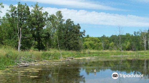 Lake Metigoshe State Park