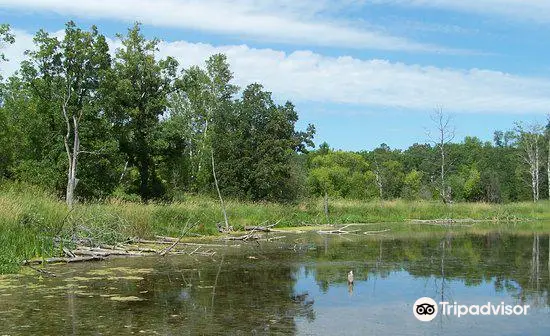 Lake Metigoshe State Park