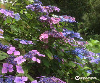 Ugbrooke House and Gardens Nr Chudleigh Devon