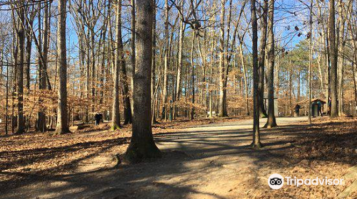 Brook Run Park