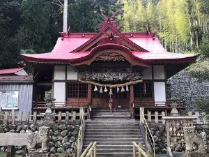 杉樹中的大杉樹