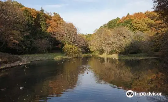 Zama Yatoyama Park