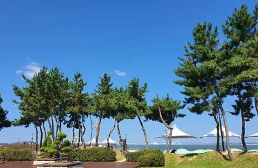 Dangjin-Si