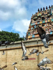 TNT021 - Thiruvalithayam Thiruvalliswarar Temple (Padal Pettra Sthalam))