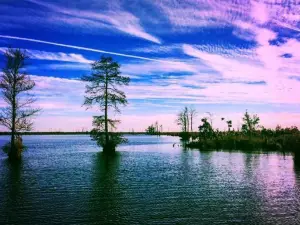 Great Dismal Swamp National Wildlife Refuge