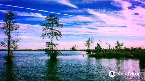 Great Dismal Swamp National Wildlife Refuge