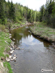 Whitemud Park & Nature Reserve