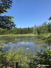 Rural Rootz Nature Reserve