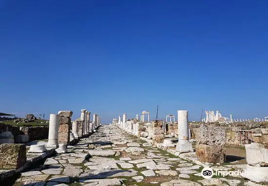 Laodicea