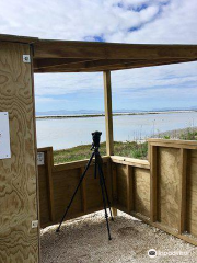 Pukorokoro Shorebird Centre