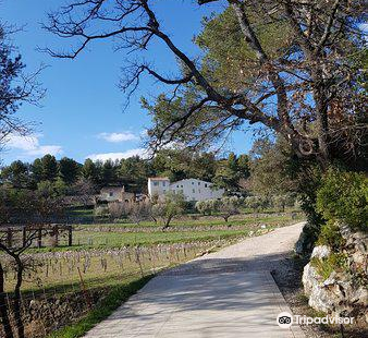 Au Jardin De La Clue Reviews Food Drinks In Provence Trip Com