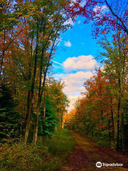 Limberlost Forest & Wildlife Reserve