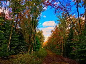 Limberlost Forest and Wildlife Reserve