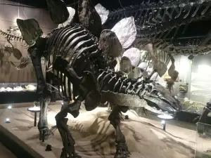 Mifune Dinosaur Museum