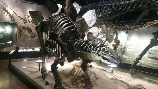 禦船恐龍博物館