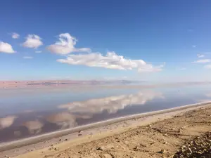傑瑞德鹽湖