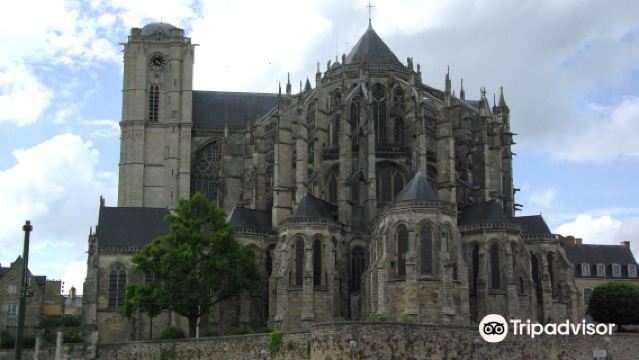 Le Mans Cathedral + Le Mans History and Culture Museum + Le Mans Old Town one-day tour