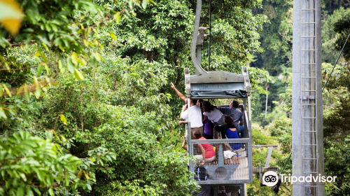 Veragua Rainforest Park