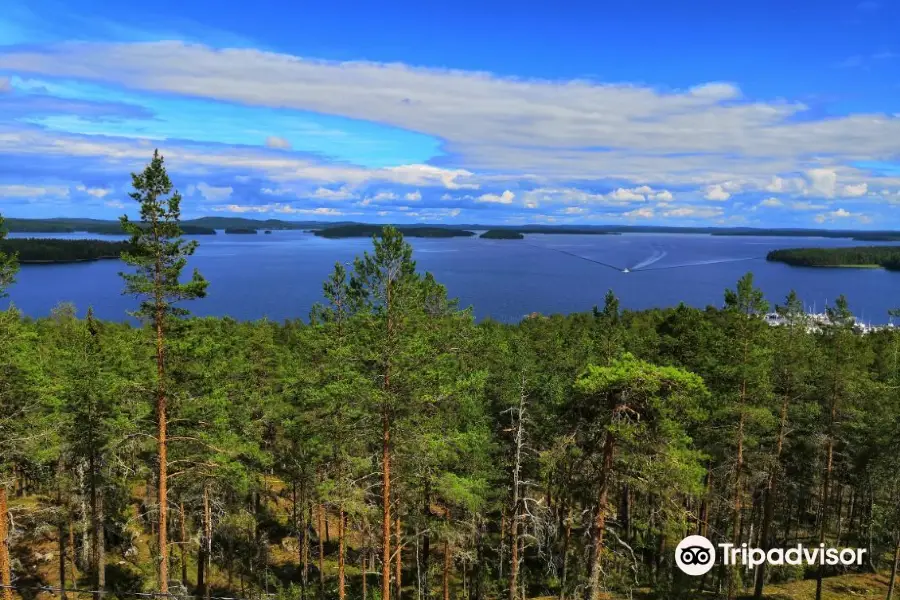 Padasjoen Tuomastornit