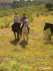 Europe Equitation Horse riding