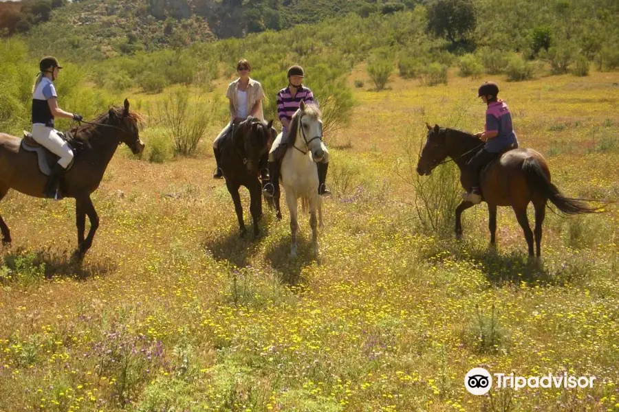 Europe Equitation Horse riding