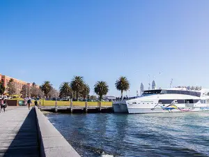 Port Phillip Ferries Docklands Terminal