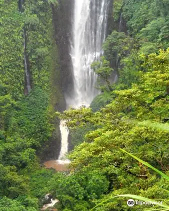 Papapapaitai Falls