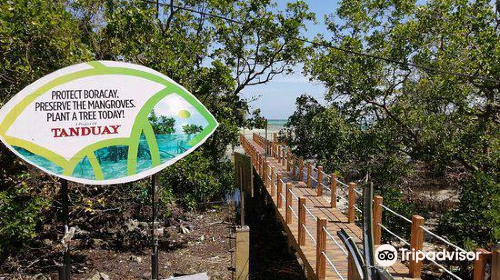 Mangrove Nursery