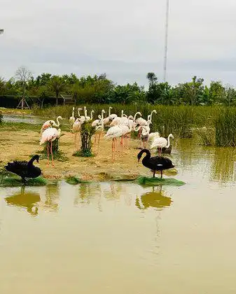 Hoteles en Thăng Bình District