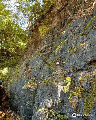 Coal Outcrop