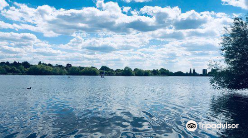 Brent Reservoir (Welsh Harp) Canalside