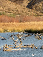 Havasu National Wildlife Refuge