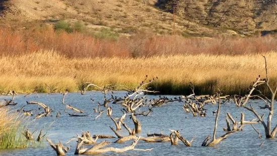 Havasu National Wildlife Refuge