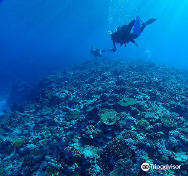 那霸的熱門特色體驗