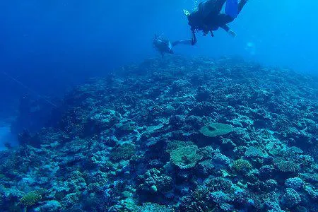 Scuba Diving in Naha