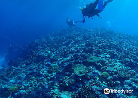 Scuba Diving in Naha