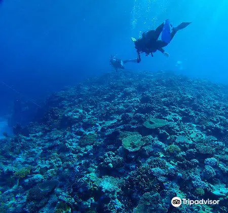 Scuba Diving in Naha