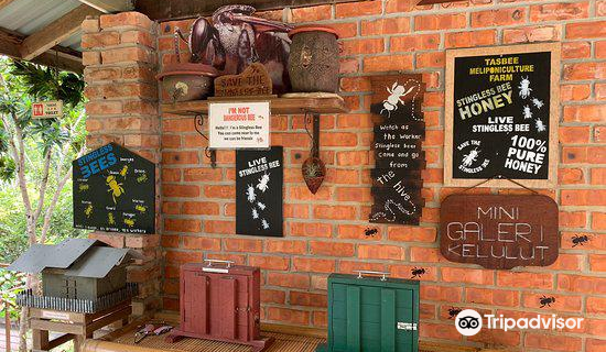 Tasbee Meliponiculture Farm