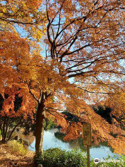 Junsai Pond Green Space