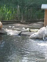 Tier- und Pflanzenpark Fasanerie