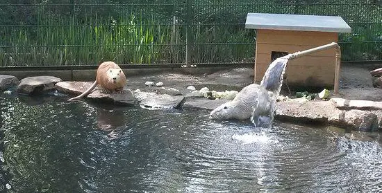 Zoo and garden Fasanerie