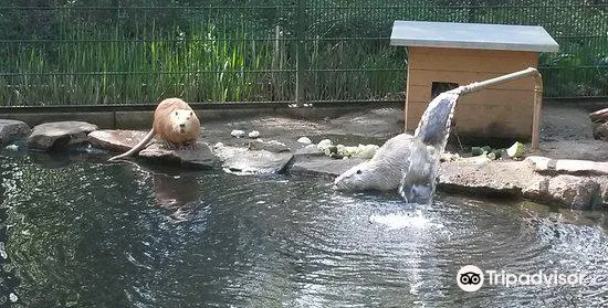Zoo and garden Fasanerie
