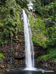 Anai Valley Waterfall