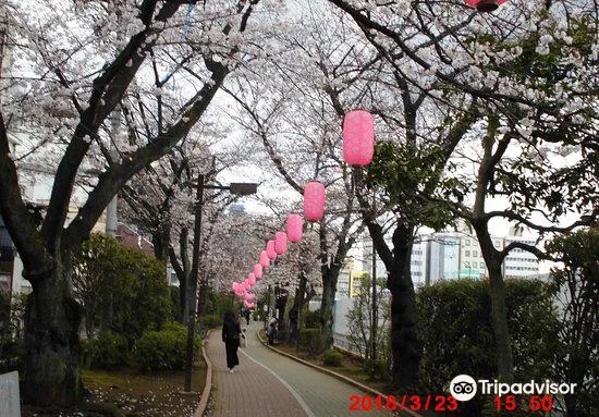 2_Kameidoryokudo Park