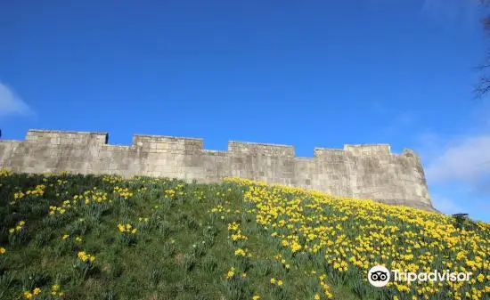 Le Bydoulre Tower